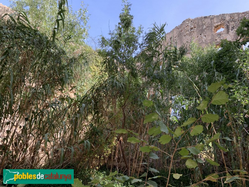 Valls - Molí del Pont de Goi (Foto: Albert Esteves, 2019) Valls - Molí del Pont de Goi