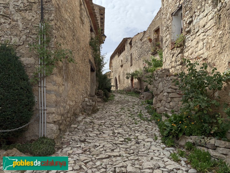 Mont-ral - L'Aixàviga (Foto: Albert Esteves, 2019) Mont-ral - L'Aixàviga