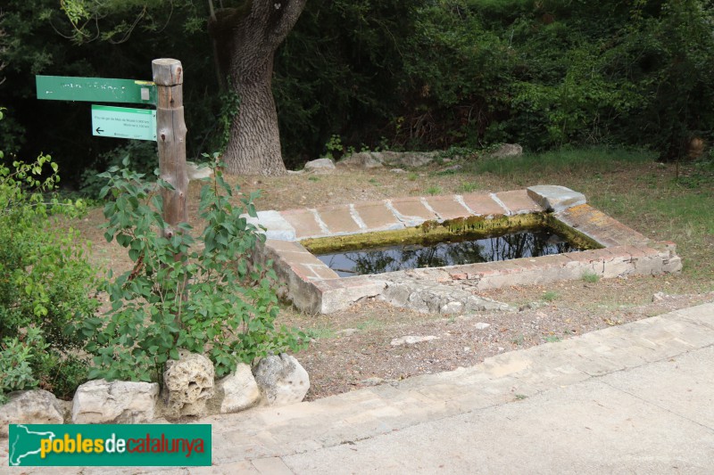 Mont-ral - L'Aixàviga, safareig (Foto: Albert Esteves, 2019) Mont-ral - L'Aixàviga, safareig