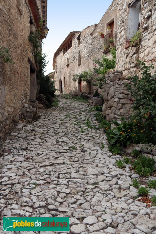 Mont-ral - Carrer Major de l'Aixàviga, amb la casa senyorial al fons