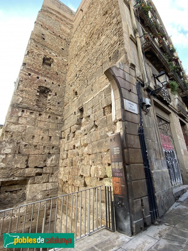 Barcelona - Muralles del carrer Sotstinent Navarro (Foto: Albert Esteves, 2019) Barcelona - Muralles del carrer Sotstinent Navarro