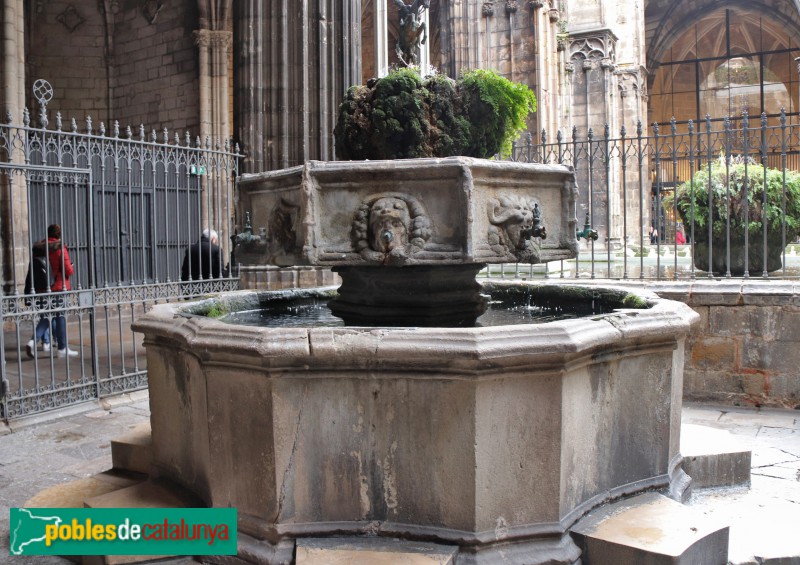 Barcelona - Catedral. Brollador del claustre (Foto: Albert Esteves, 2020) Barcelona - Catedral. Brollador del claustre
