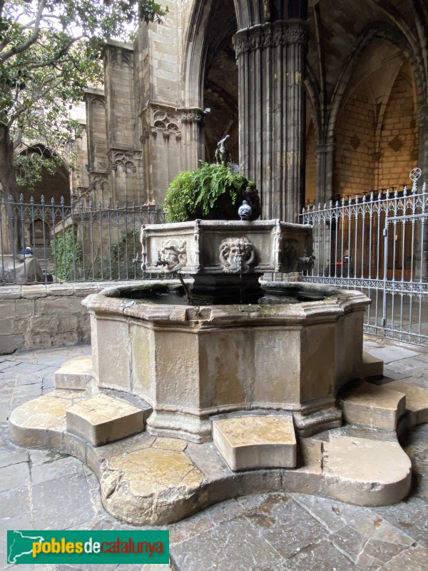 Barcelona - Catedral. Brollador del claustre (Foto: Albert Esteves, 2020) Barcelona - Catedral. Brollador del claustre