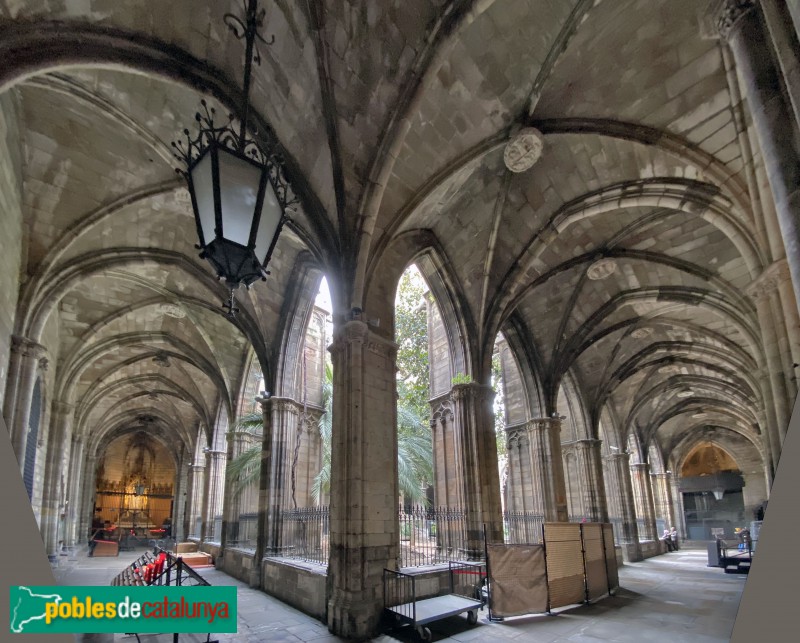 Barcelona - Claustre de la Catedral (Foto: Albert Esteves, 2020) Barcelona - Claustre de la Catedral