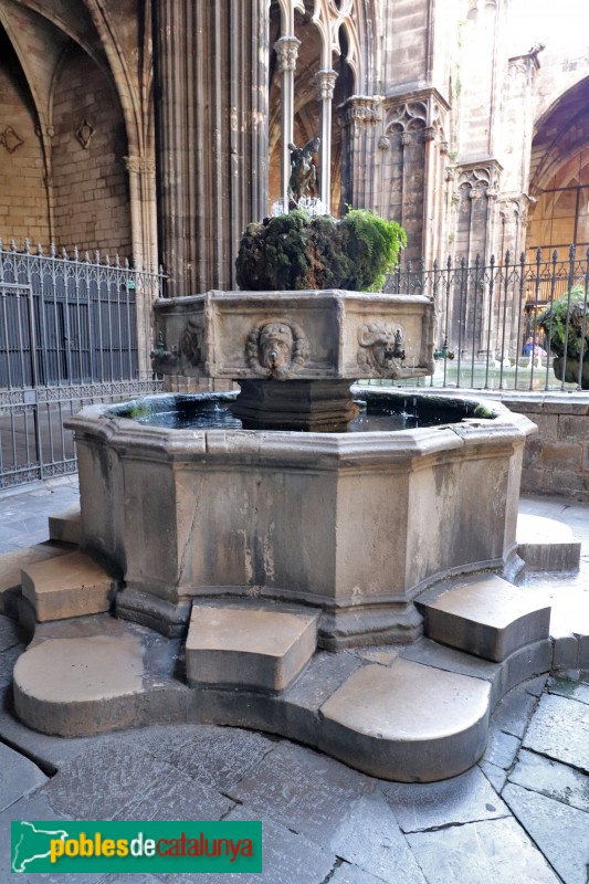 Barcelona - Catedral. Brollador del claustre (Foto: Albert Esteves, 2020) Barcelona - Catedral. Brollador del claustre