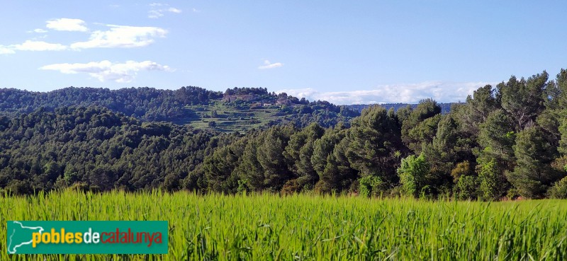 Sant Martí de Tous - Panoràmica de Fillol (Foto: Joan Subirana, 2020) Sant Martí de Tous - Panoràmica de Fillol