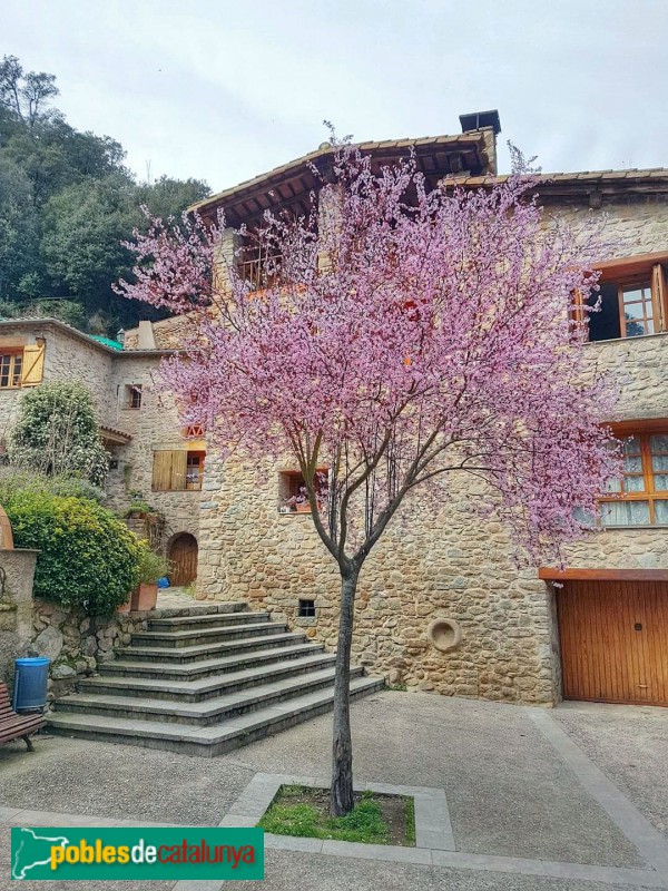 Osor - Can Jaume (Foto: Francesc Caparrós, 2020) Osor - Can Jaume