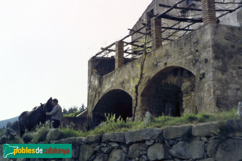 Maçanet de Cabrenys - Can Muntada, abans de la restauració (Foto: Louis Schouleur, 1981) Maçanet de Cabrenys - Can Muntada, abans de la restauració