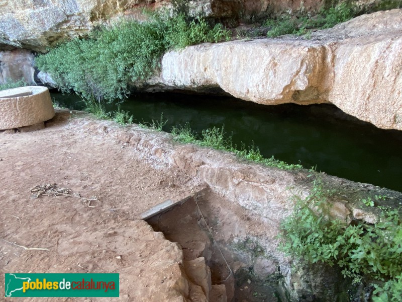 Els Torms - Balma de la Basseta (Foto: Albert Esteves, 2021) Els Torms - Balma de la Basseta