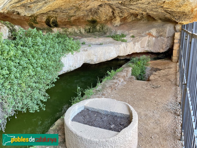 Els Torms - Balma de la Basseta (Foto: Albert Esteves, 2021) Els Torms - Balma de la Basseta