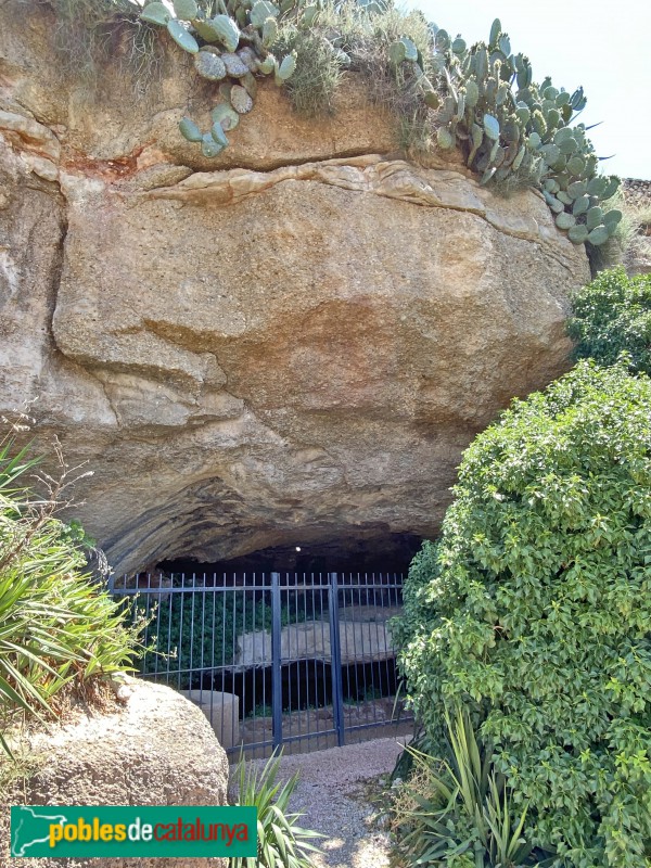 Els Torms - Balma de la Basseta (Foto: Albert Esteves, 2021) Els Torms - Balma de la Basseta