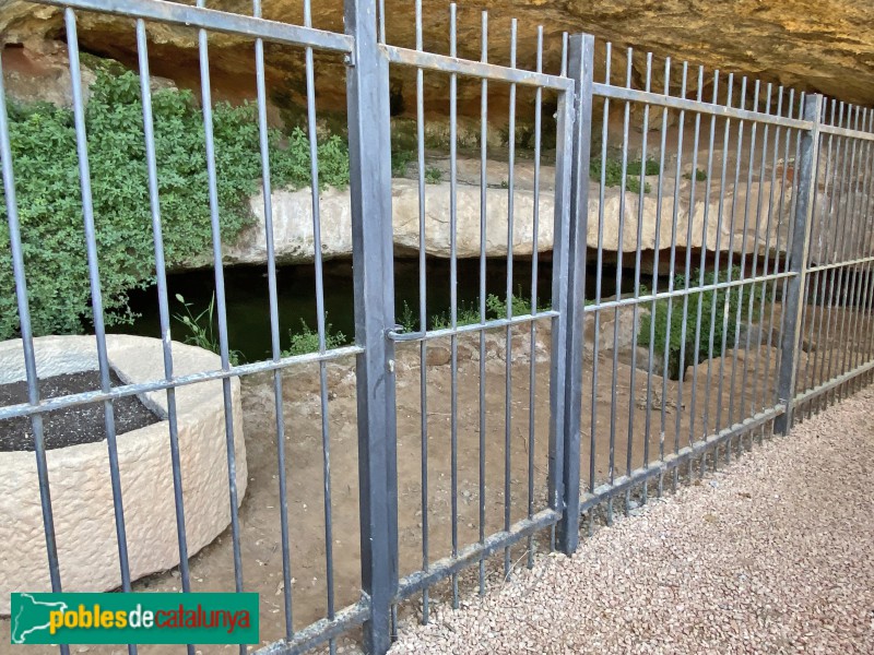 Els Torms - Balma de la Basseta (Foto: Albert Esteves, 2021) Els Torms - Balma de la Basseta