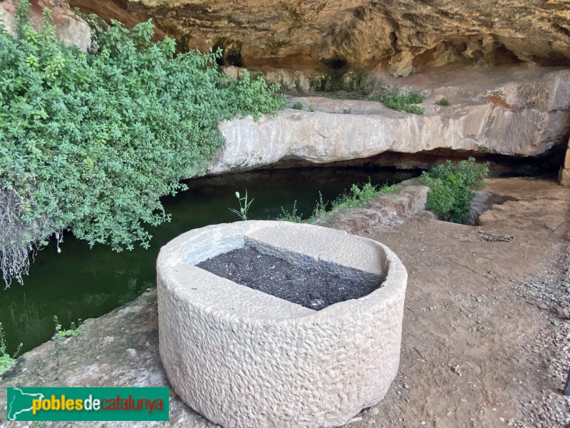 Els Torms - Balma de la Basseta (Foto: Albert Esteves, 2021) Els Torms - Balma de la Basseta