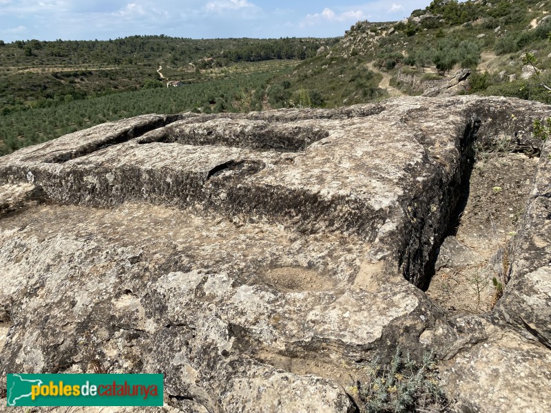 El Cogul - Necròpolis del Saladar (Foto: Albert Esteves, 2021) El Cogul - Necròpolis del Saladar