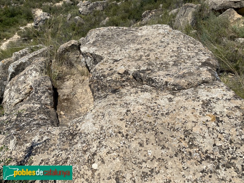 El Cogul - Necròpolis del Saladar (Foto: Albert Esteves, 2021) El Cogul - Necròpolis del Saladar