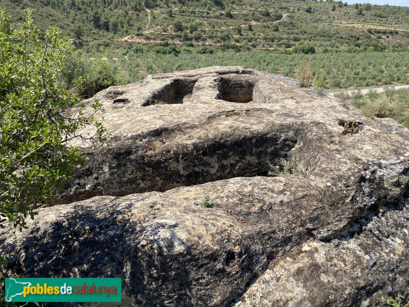 El Cogul - Necròpolis del Saladar (Foto: Albert Esteves, 2021) El Cogul - Necròpolis del Saladar