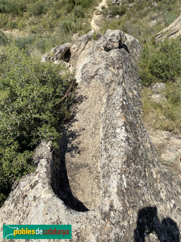 El Cogul - Necròpolis del Saladar (Foto: Albert Esteves, 2021) El Cogul - Necròpolis del Saladar