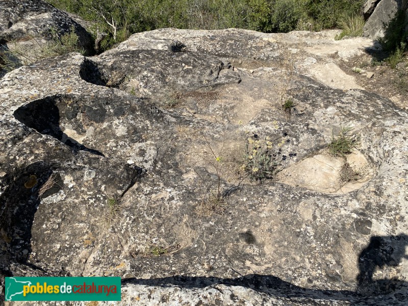 El Cogul - Necròpolis del Saladar (Foto: Albert Esteves, 2021) El Cogul - Necròpolis del Saladar