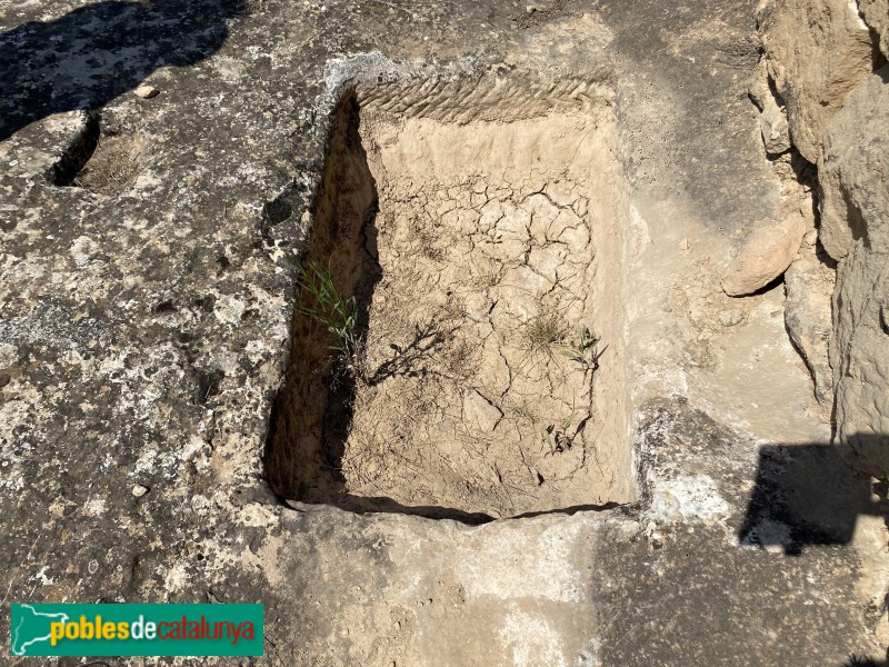 El Cogul - Necròpolis del Saladar (Foto: Albert Esteves, 2021) El Cogul - Necròpolis del Saladar