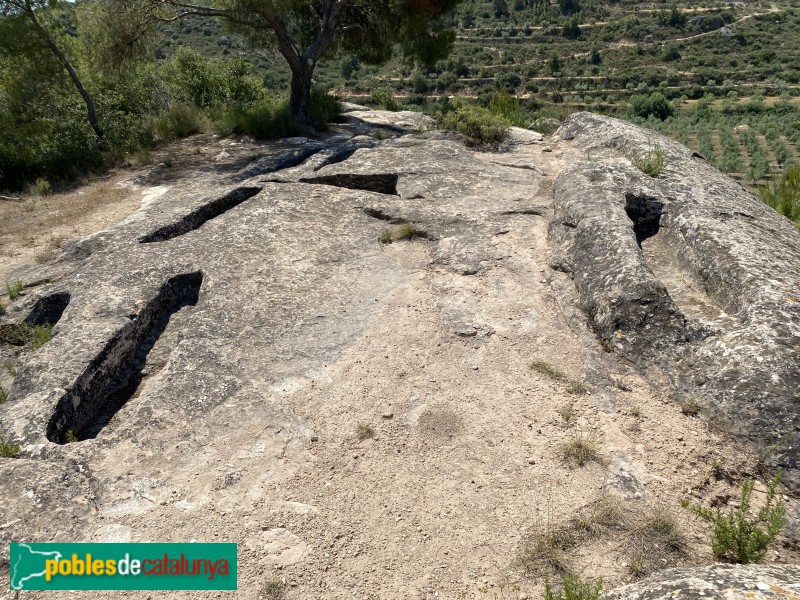 El Cogul - Necròpolis del Saladar (Foto: Albert Esteves, 2021) El Cogul - Necròpolis del Saladar
