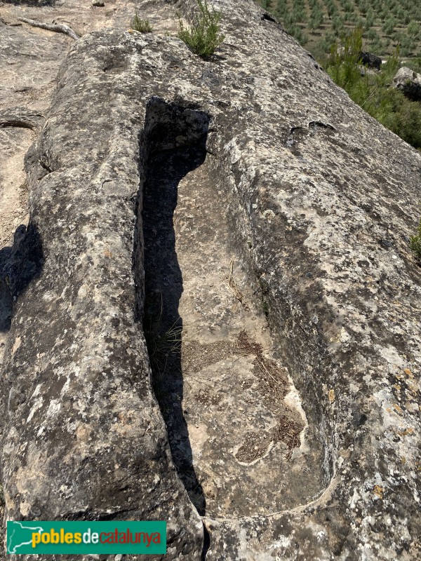 El Cogul - Necròpolis del Saladar (Foto: Albert Esteves, 2021) El Cogul - Necròpolis del Saladar