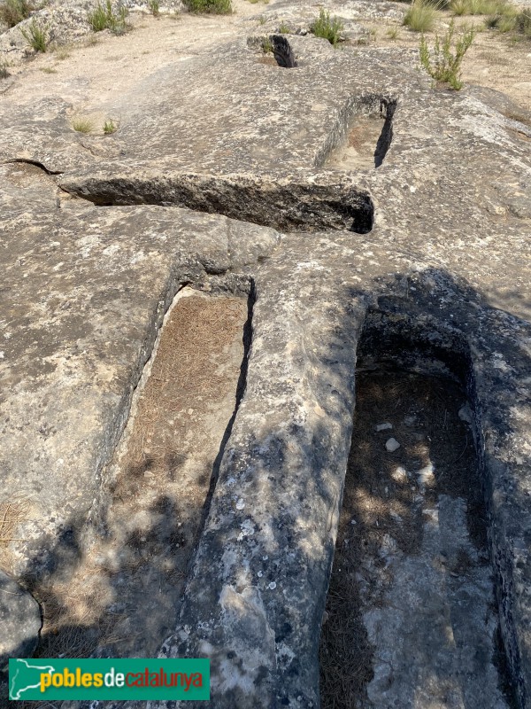 El Cogul - Necròpolis del Saladar (Foto: Albert Esteves, 2021) El Cogul - Necròpolis del Saladar