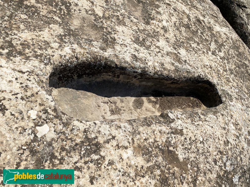 El Cogul - Necròpolis del Saladar (Foto: Albert Esteves, 2021) El Cogul - Necròpolis del Saladar