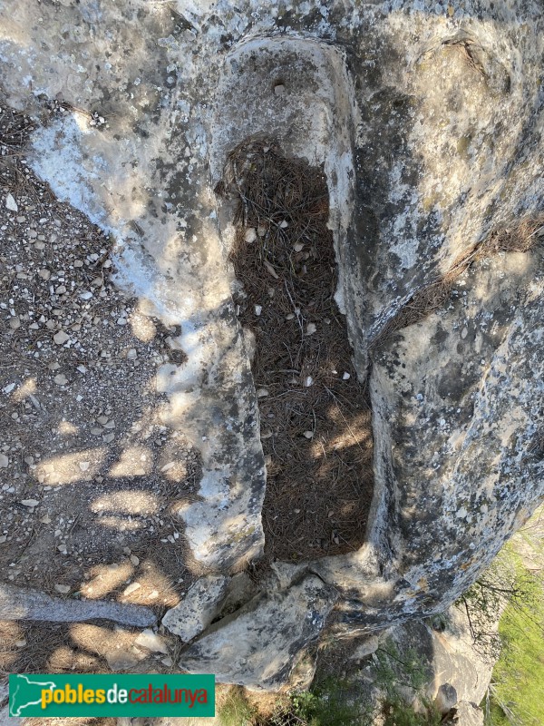 El Cogul - Necròpolis del Saladar (Foto: Albert Esteves, 2021) El Cogul - Necròpolis del Saladar