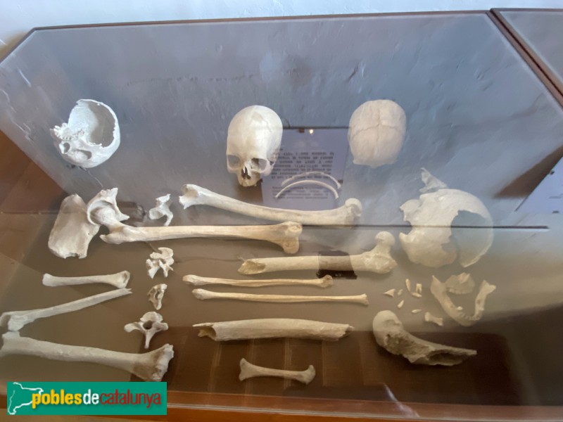 La Floresta - Castell. Interior (Foto: Albert Esteves, 2021) La Floresta - Castell. Interior