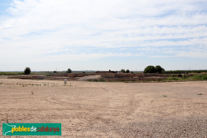 Arbeca - Fortalesa ibèrica dels Vilars (Foto: Albert Esteves, 2021) Arbeca - Fortalesa ibèrica dels Vilars