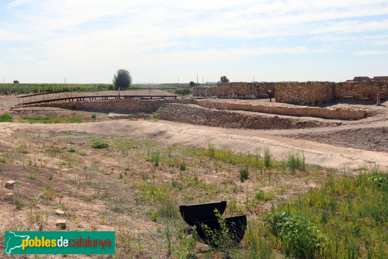 Arbeca - Fortalesa ibèrica dels Vilars (Foto: Albert Esteves, 2021) Arbeca - Fortalesa ibèrica dels Vilars