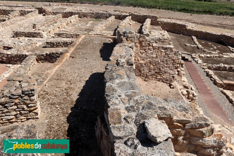 Arbeca - Fortalesa ibèrica dels Vilars (Foto: Albert Esteves, 2021) Arbeca - Fortalesa ibèrica dels Vilars