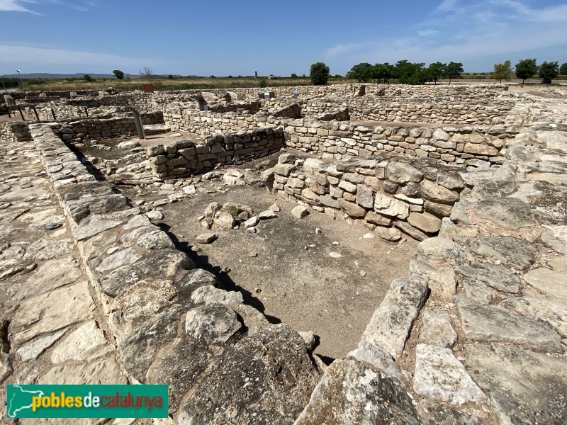Arbeca - Fortalesa ibèrica dels Vilars (Foto: Albert Esteves, 2021) Arbeca - Fortalesa ibèrica dels Vilars