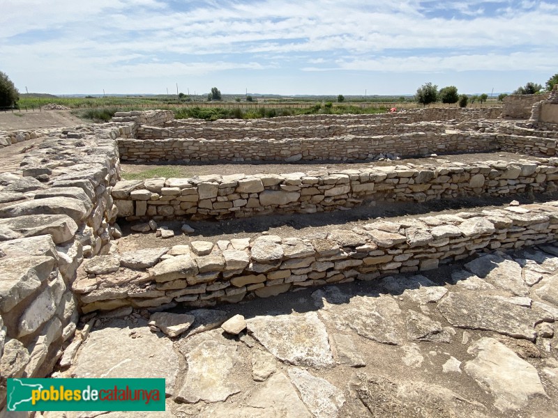 Arbeca - Fortalesa ibèrica dels Vilars (Foto: Albert Esteves, 2021) Arbeca - Fortalesa ibèrica dels Vilars