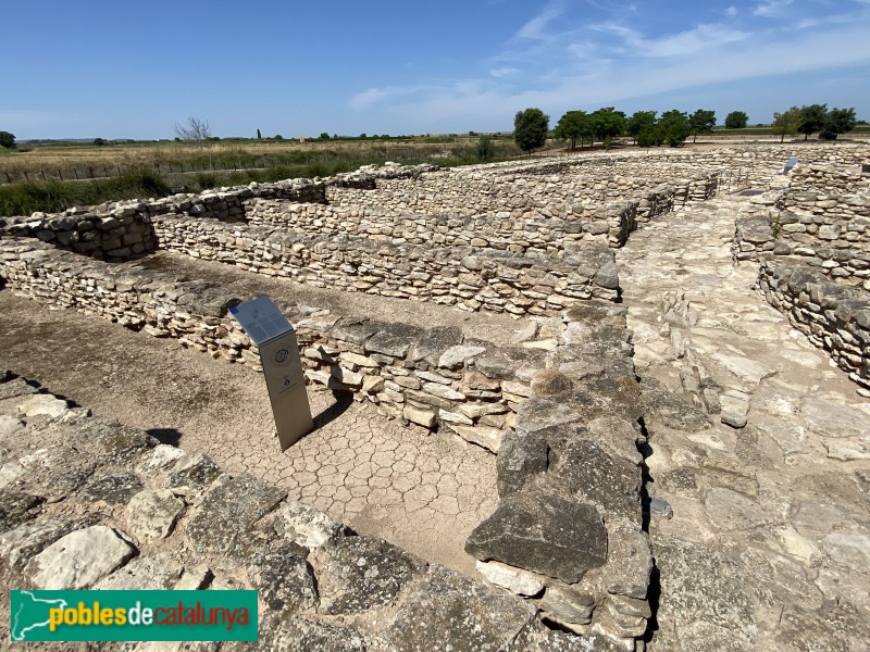 Arbeca - Fortalesa ibèrica dels Vilars (Foto: Albert Esteves, 2021) Arbeca - Fortalesa ibèrica dels Vilars