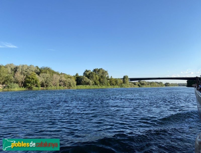 Tortosa - Pont del Mil·lenari