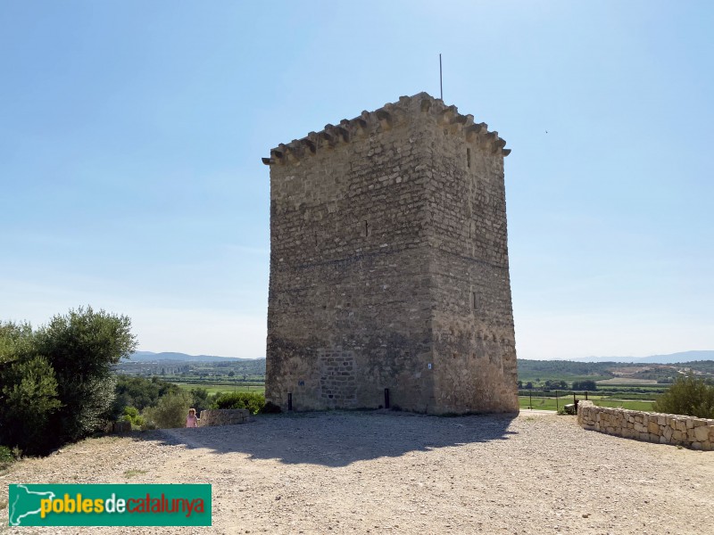 Tortosa - Torre de Campredó (Foto: Albert Esteves, 2021) Tortosa - Torre de Campredó