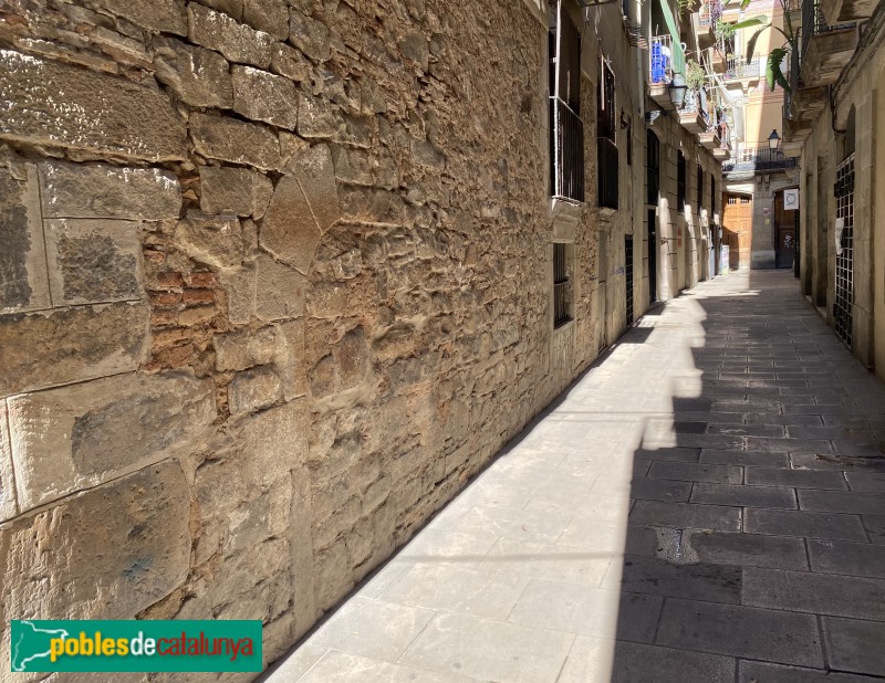 Barcelona - Carrer Grunyí (Foto: Albert Esteves, 2021) Barcelona - Carrer Grunyí