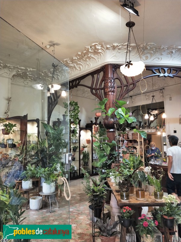 Barcelona - Farmàcia Viladot (Foto: Anna Corcoll, 2021) Barcelona - Farmàcia Viladot