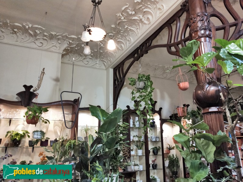 Barcelona - Farmàcia Viladot (Foto: Anna Corcoll, 2021) Barcelona - Farmàcia Viladot