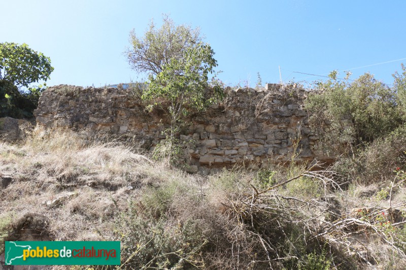 Fulleda - Ruïnes del castell (Foto: Albert Esteves, 2021) Fulleda - Ruïnes del castell