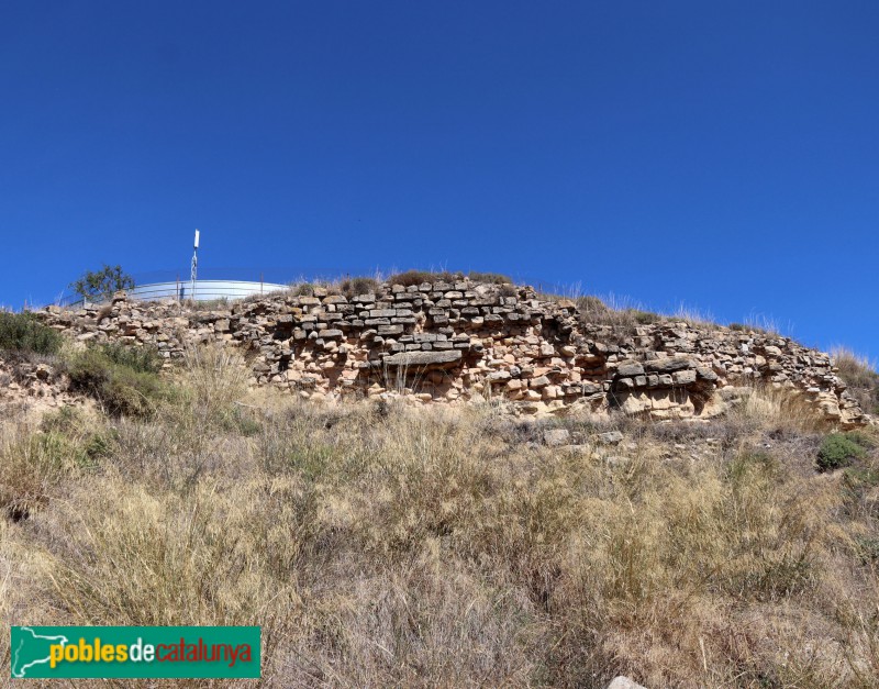 Fulleda - Ruïnes del castell (Foto: Albert Esteves, 2021) Fulleda - Ruïnes del castell