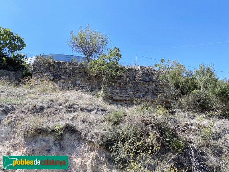 Fulleda - Ruïnes del castell (Foto: Albert Esteves, 2021) Fulleda - Ruïnes del castell