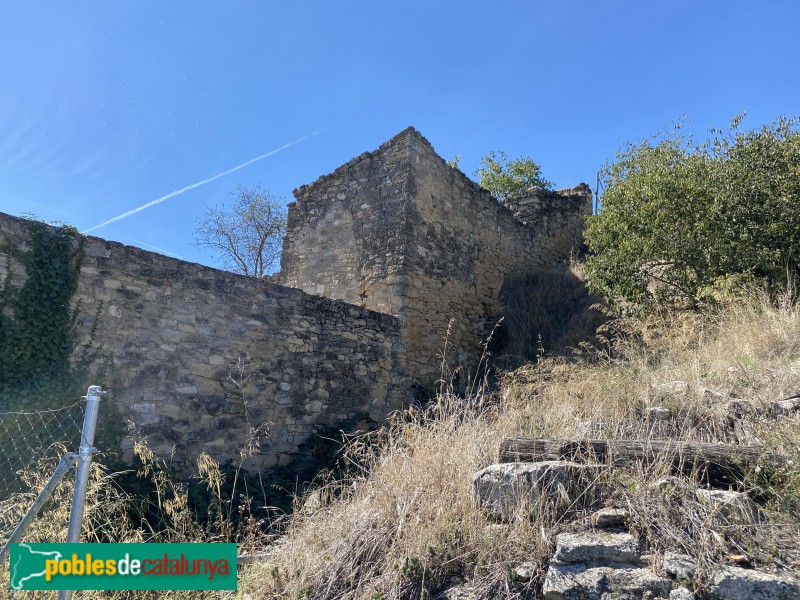 Fulleda - Ruïnes del castell (Foto: Albert Esteves, 2021) Fulleda - Ruïnes del castell