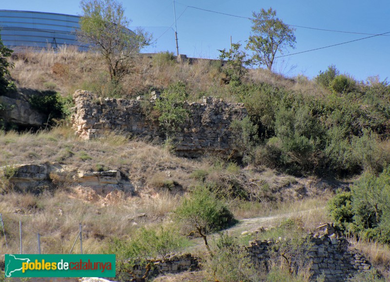 Fulleda - Ruïnes del castell (Foto: Albert Esteves, 2021) Fulleda - Ruïnes del castell