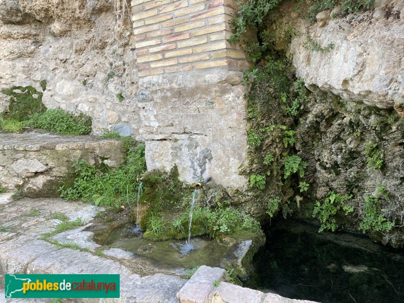 Vimbodí - Font i safareig del Gorg (Foto: Albert Esteves, 2021) Vimbodí - Font i safareig del Gorg