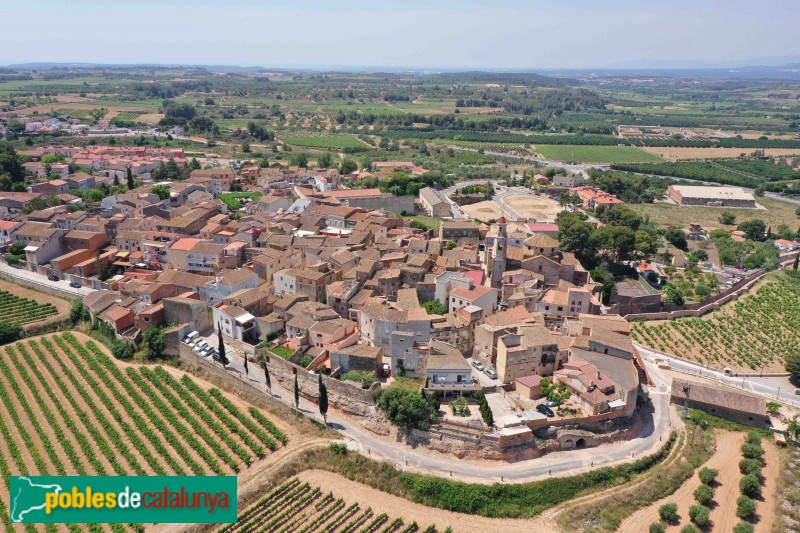 Puigpelat (Foto: Francesc Vidal-Barraquer, 2021) Puigpelat