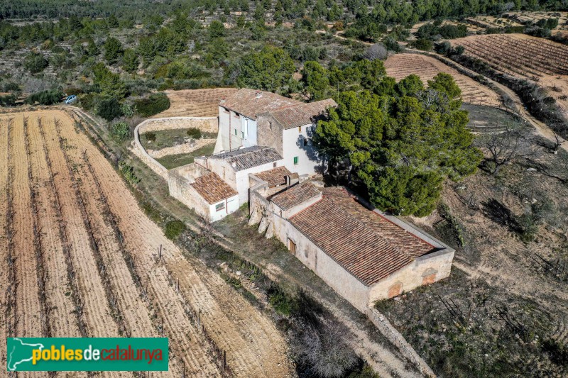 Salomó - La Polla-rossa