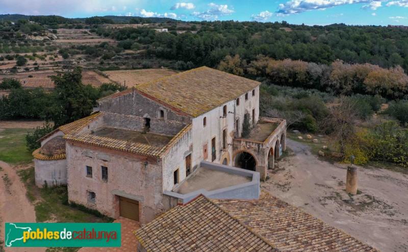 Vespella de Gaià - Mas d'en Plana (Foto: Francesc Vidal-Barraquer, 2021) Vespella de Gaià - Mas d'en Plana