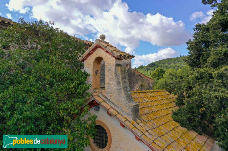 Vespella de Gaià - Mas d'en Plana (Foto: Francesc Vidal-Barraquer, 2021) Vespella de Gaià - Mas d'en Plana